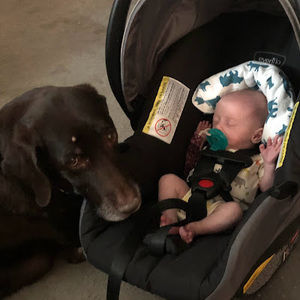 Meet your Posher, Samantha